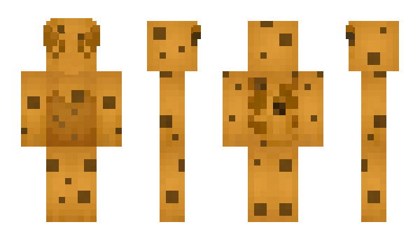 Minecraft skin Tymm
