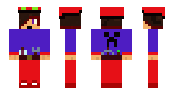 Minecraft skin Brickpower