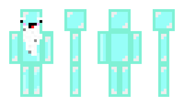 Minecraft skin SkeppysFuture