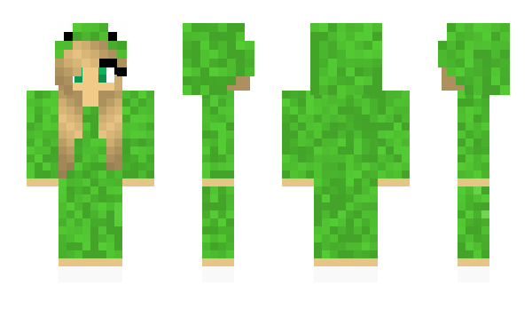 Minecraft skin KokaYT