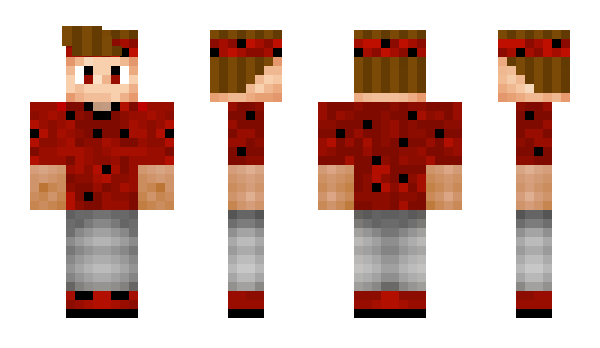 Minecraft skin lstar420