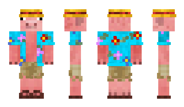 Minecraft skin Extranius