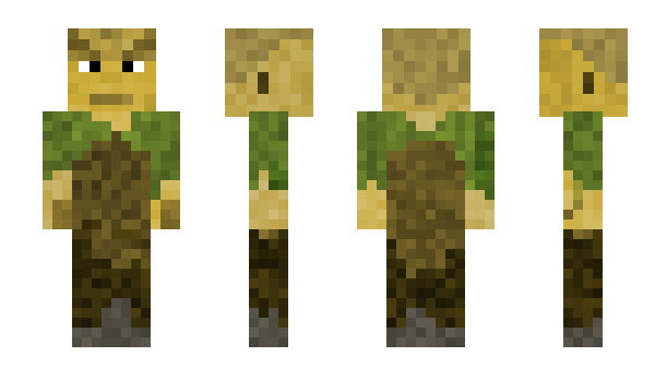 Minecraft skin CedarH