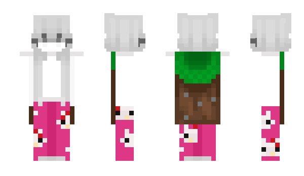 Minecraft скин по нику SsajeopLetsgo