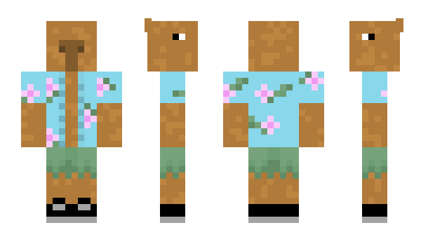 Minecraft skin 376k