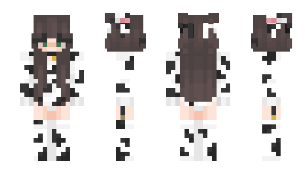 Minecraft skin DewneZ