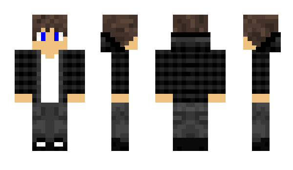 Minecraft skin Diqs