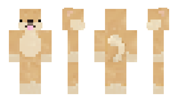 Minecraft skin Rayn1