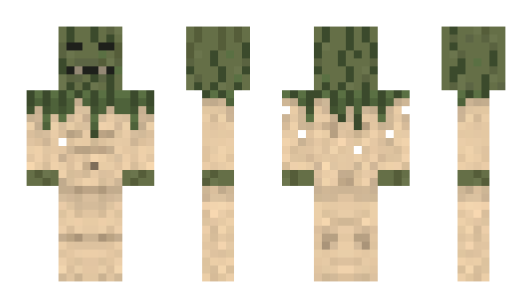 Minecraft skin PeacemanNOT