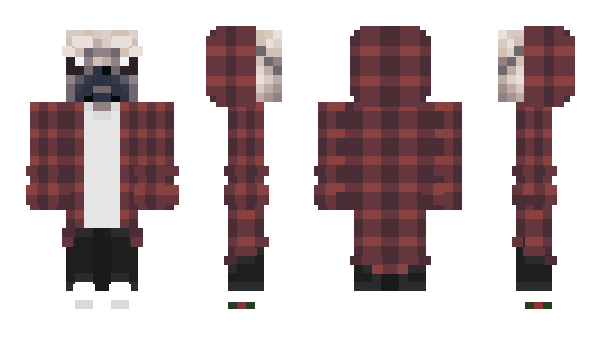 Minecraft skin d3nba