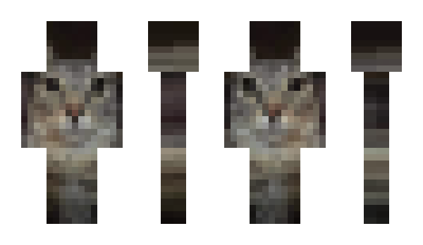 Minecraft skin GatoExplosivo