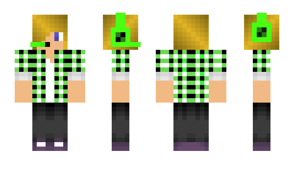 Minecraft skin princic