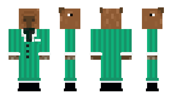 Minecraft skin capybara21