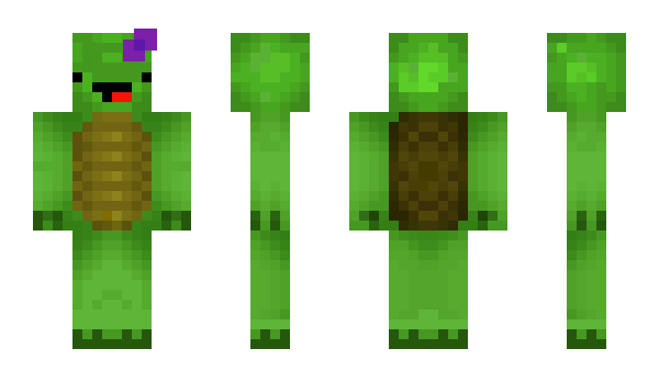 Minecraft skin TurtleToesx2