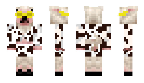 Minecraft skin skskstella