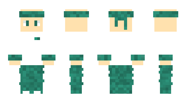 Minecraft skin MineconSkins