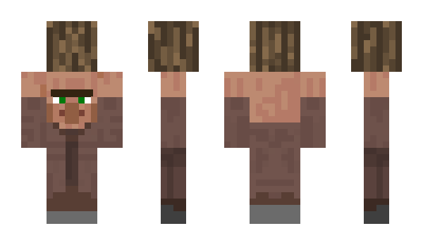 Minecraft skin minionblock