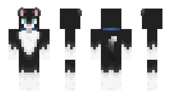 Minecraft skin Psych4