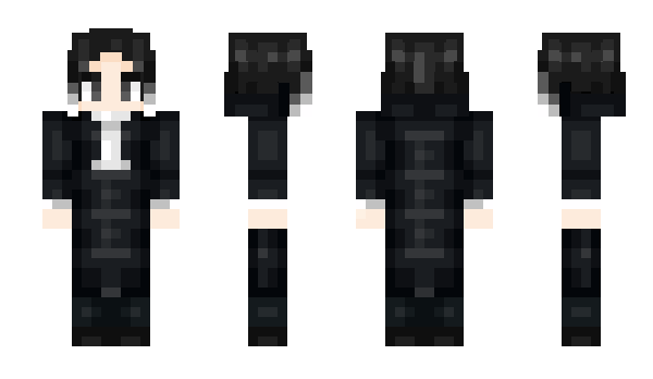 Minecraft skin Shlin_