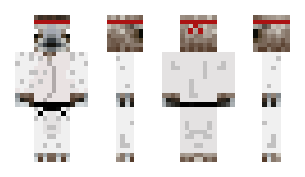 Minecraft skin Boyle212