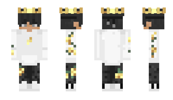 Minecraft skin FormosaBlackBear