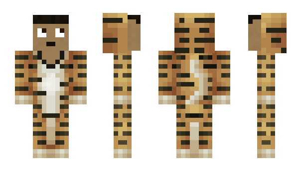 Minecraft skin skibv