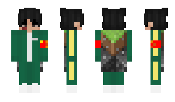 Minecraft skin 2463