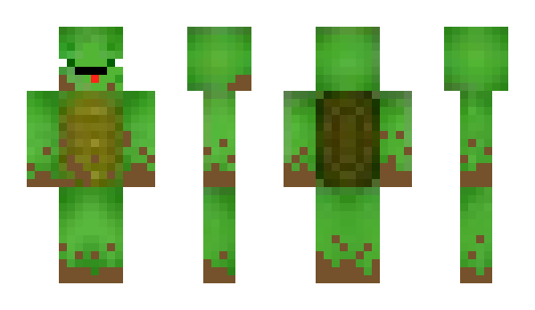 Minecraft skin c4829