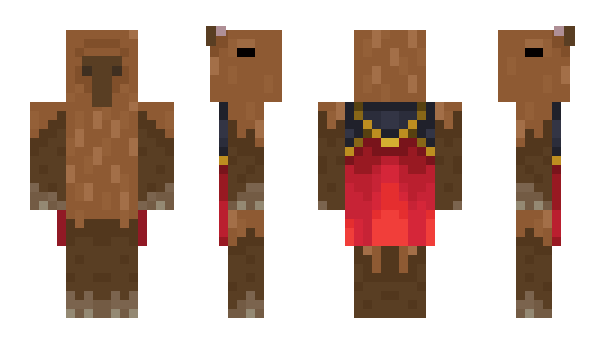 Minecraft skin KLGCAMPER