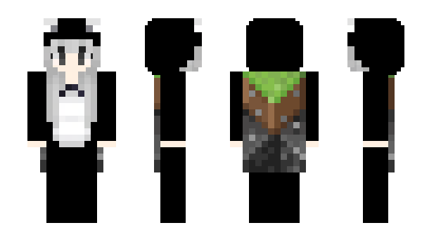 Minecraft skin Createe