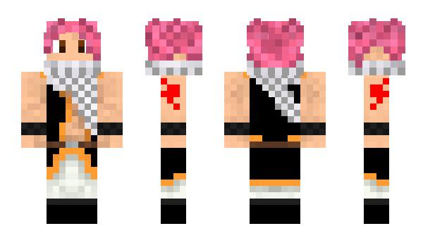 Minecraft skin DrOnion