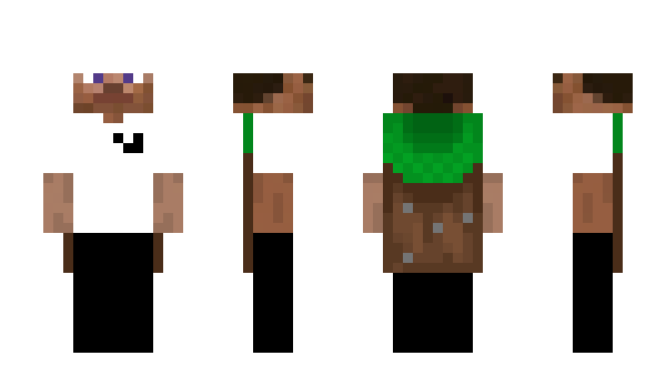 Minecraft скін по ніку lnnv