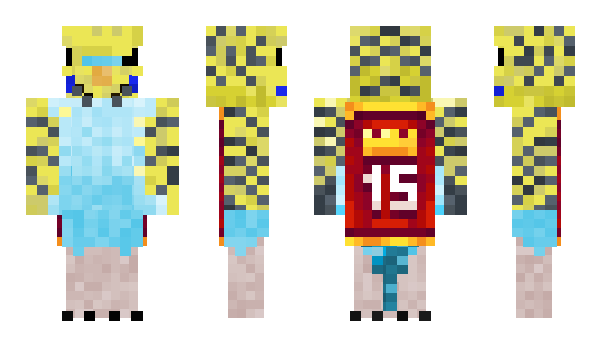 Minecraft skin BoVItor