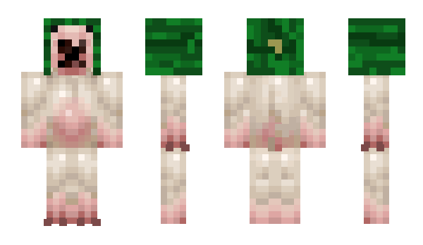 Minecraft skin coltn