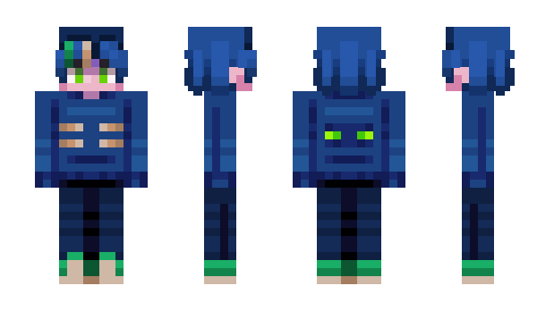 Minecraft skin DrFr