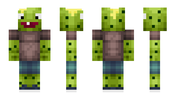 Minecraft skin Bob_de_Honk