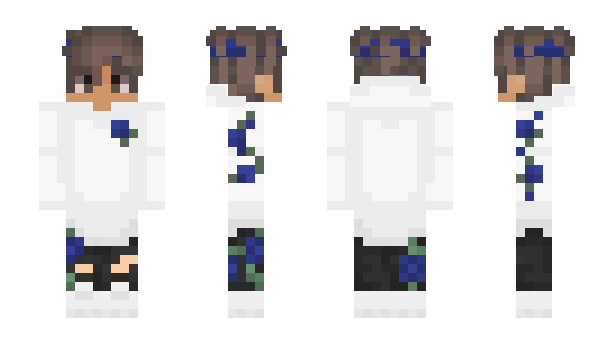 Minecraft skin Feaver__