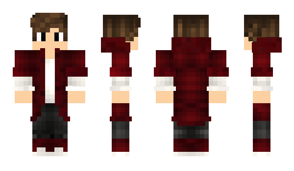 Minecraft skin PAYJ