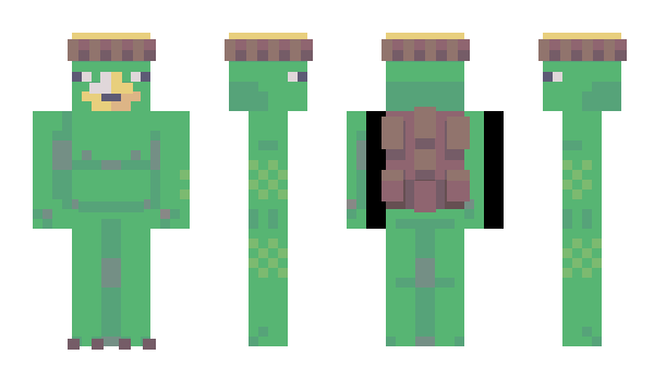 Minecraft skin turtle329