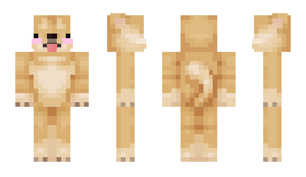 Minecraft skin Poats