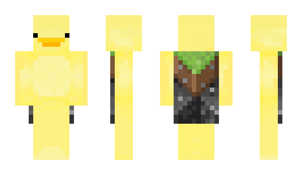 Minecraft skin VBWnga
