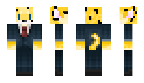 Minecraft skin Amerr_