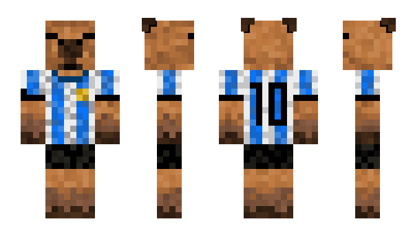 Minecraft skin CarpinchoARG