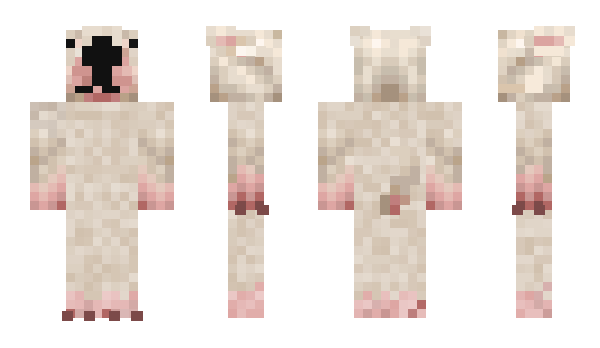 Minecraft skin JCooper