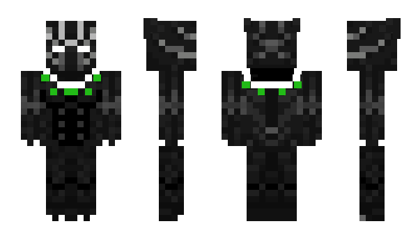 Minecraft skin G13