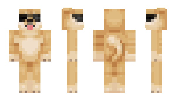 Minecraft skin ImSSMage