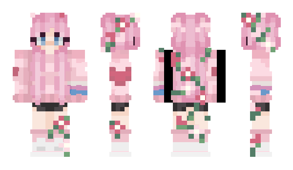 Minecraft skin haddle123