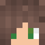 Minecraft skin LittleRi