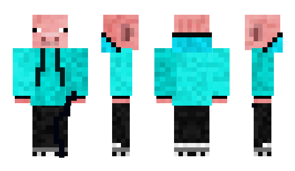 Minecraft skin JaydenPig