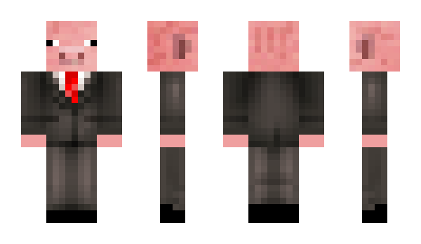 Minecraft skin PrinsWilli